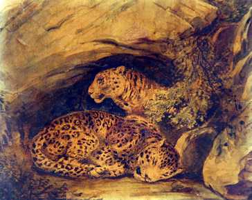 Penuti Giuseppe - La tana dei ghepardi *
